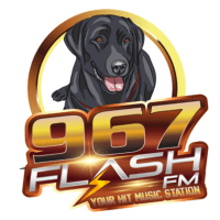 Eagle 96.7 Flash-FM WMJT Newberry