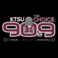 90.9 The Choice Vibe KTSU Houston