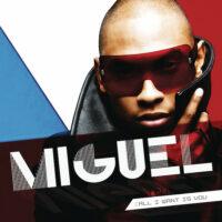 Miguel All I Want Is You