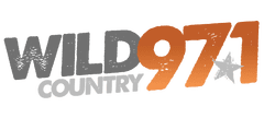 Radio Station Translator Application Construction Permit CP Wild Country 97.1 KYWD Tucson