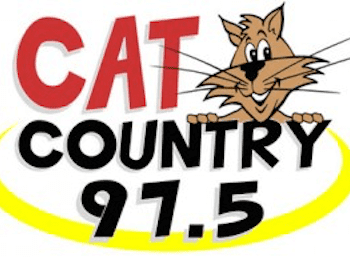 Delmarva Broadcasting Rothschild Cat Country 97.5 WKTT 1320 WICO 92.5 WICO-FM Salisbury Ocean City