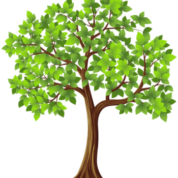 Radio Show Tree
